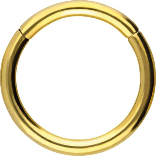 PIERCINGLINE Segmentring Clicker aus Titan - Piercing für Nase, Septum, Ohr, Helix oder Tragus