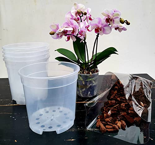 POWERS TO FLOWERS - VASI 19CM DIAMETRO TRASPARENTI PER ORCHIDEE PHALAENOPSIS, 5 PEZZI, PIU' TERRA PER IL RINVASO