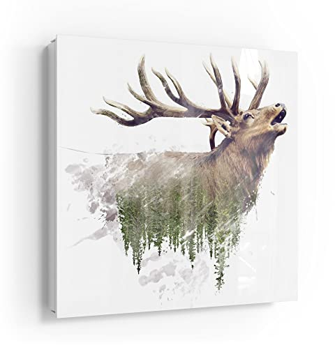 DEQORI Schlüsselkasten weiß | 30x30 cm | Motiv Hirsch röhrt im Wald | Glas & Metall Schlüssel-Box | Schlüsselschrank mit 50 Haken + 2 Magnete | Moderne Design Box magnetisch & beschreibbar