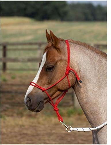 Knotenhalfter SMOOTH II