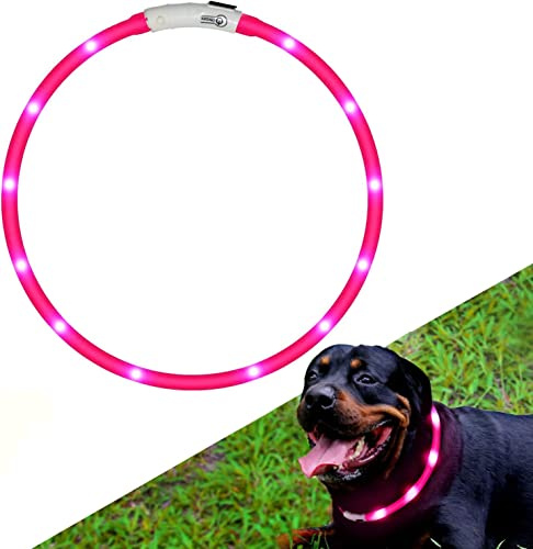 Hunde Leuchthalsband LED Halsband Hundehalsband Hunde, individuell kürzbar, USB aufladbar, Kabel im Lieferumfang enthalten