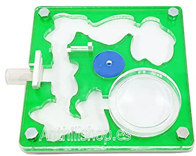 ANTHILLSHOP Ant Farm - Acryl Ameisenfarm 10x10x1,3 cm mit Deckel | Schaumstoff-Feuchtigkeitssystem | Free Ameisen enthalten +20 Arbeiter
