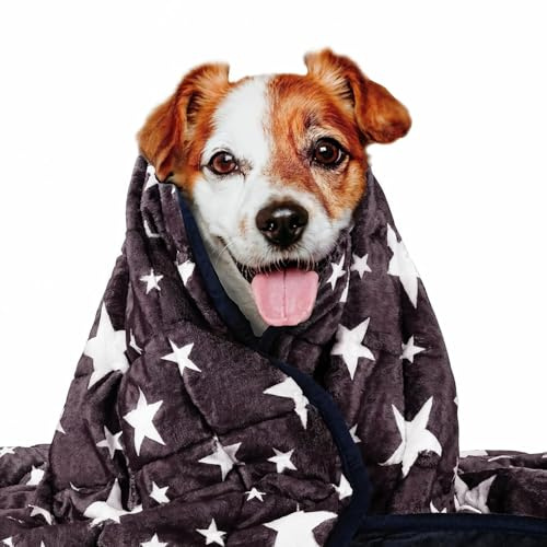 LaSyL Weighted Blanket for Pets | Thunder Blanket for Dogs Anxiety | Premium Soft Minky | Relaxation & Calming & Anti Anxiety | Used in Car, Bed, Couch | Blue Grey Star, Washable Medium (32x40)