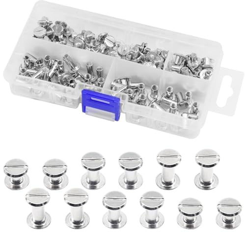 Ruidee 150Pezzi/75Sets Rivetti Vite Set Chicago di Fissaggio Viti Rilegatura Testa Piatta Viti per Cintura M5X6/10/12mm di Giunzione Fai Da Te In Pelle (ZBD-D/Silver)