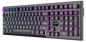 PREYON Mecanique Clavier Gamer Gaming Keyboard pour PC Bureau sans Fil Silencieux RGB Anti-Ghosting 2.4 Ghz Bluetooth USB 100% avec Pavé Numérique Compact Noir Switch Équilibré - Silent Claw