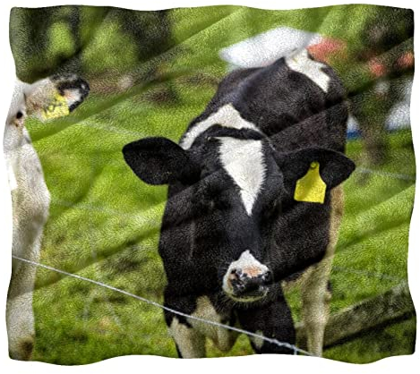 Manta de forro polar para sofá o cama, acogedora, suave, para pantorrilla, vacas lecheras jóvenes, pasto verde