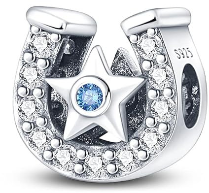 TINSLO Charm Anhänger Damen 925 Sterling Silber für Armband Charms Beads passend für Pandora Armband und Halskette, Kompatibel mit Europäischen Armbänder für Frauen Mädchen B9