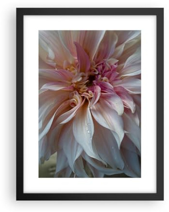 ARTTOR Poster Cadre Noir 30x40 cm Affiche Botanique Fleurs - 5352 - P2B