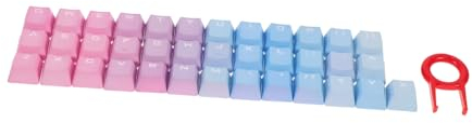 MERRYHAPY 1satz Keycaps Für Mechanische Tastaturen Mit Durchscheinenden Beschriftungen Langlebig Und Farbecht Für Individuelles Gaming-Setup Und Büroanwendungen
