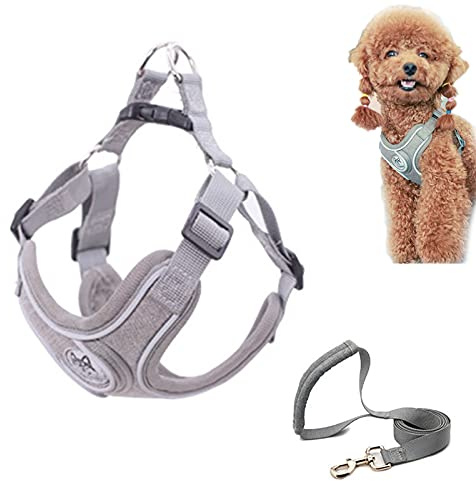 SKXEO Dog Harness Small Dog No Pull Harness and Lead Set Adjustable Breathable Reflective Lightweight Pet Vest Harness Escape Proof Dog Harness Easy Control for Outdoor Walking Training