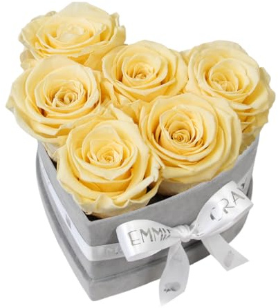 EG EMMIE GRAY Classic Infinity Rosenbox | Herz | Grau - Größe S mit 7 ± 1 Infinity Rosen, bis zu 3 Jahre haltbar, Flowerbox aus Samt mit konservierten Rosen, Blumenbox (Champagne)