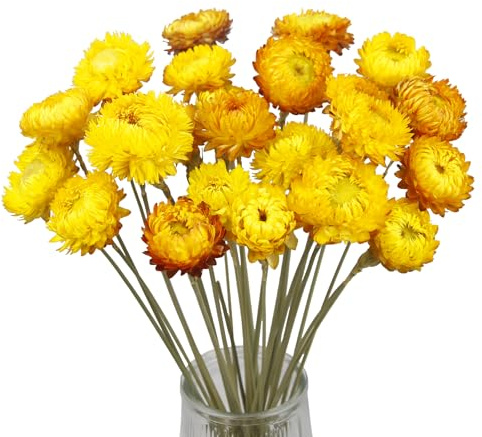 CITYES 20pcs Natural Dried Daisies, Dried Sunflowers, Yellow, Chrysanthemum, Dried Flower Bouquet with Stem for Wedding, Farmhouse, Table Vase, Home Decor, Flower Arrangement
