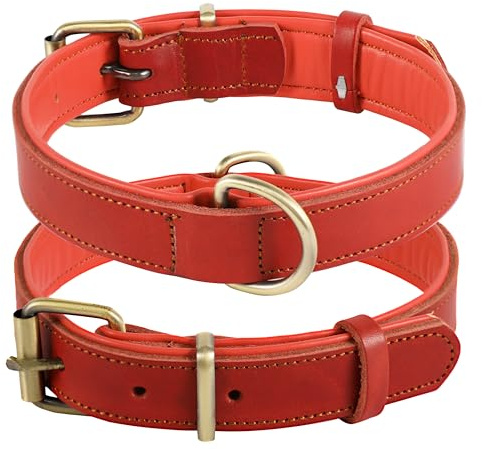 Hundehalsband aus Leder, Hundehalsband in verschiedenen Größen und Farben, echt, robust, bequem, weiche Innenpolsterung mit kontrastierendem Design, 25 bis 57 cm