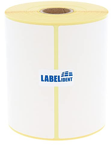 Labelident Versandetiketten 100 x 200 mm - 250 Thermo-Top Labels auf 1 Rolle I 25 mm Kern I Selbstklebende Shipping Labels für Desktop Thermodrucker I Trägerperfo.