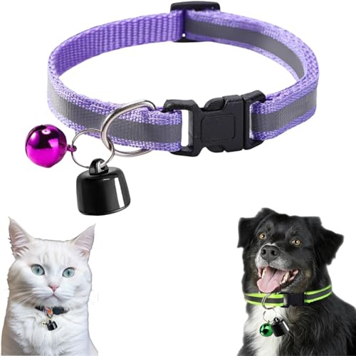 Collare GPS per gatto e cane - Mini localizzatore GPS per gatto - Monitoraggio globale - senza costi aggiuntivi - compatibile con iOS e Android - per qualsiasi collare - localizzazione intelligente (K