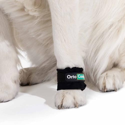 Ortocanis - Gewichtsmanschetten für Hunde - Muskelaufbau Hund und Rehabilitation der Gliedmaßen - Größe: L 17-22 cm - Gewicht: 50 bis 250 g - Aus robustem Nylon und Klettverschluss