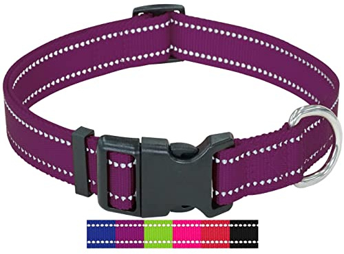 DEY - Premium Hundehalsband Nylon, Reflektierend, Verstellbar, für Kleine u. Große Hunde, viele Farben u. Größen, Hund Welpe, Hunde-Halsbänder, Katzen-Halsband, Welpen-Halsband, Lila, XS