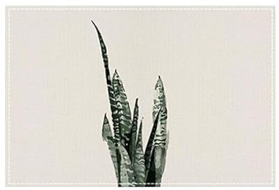 Mantel Individual Hierba Verde Juego De 4 Manteles Individuales Bajoplatos Aislante Calor Lino Antimanchas Antideslizantes Decoración Mesa Comedor Cocina 45X30Cm