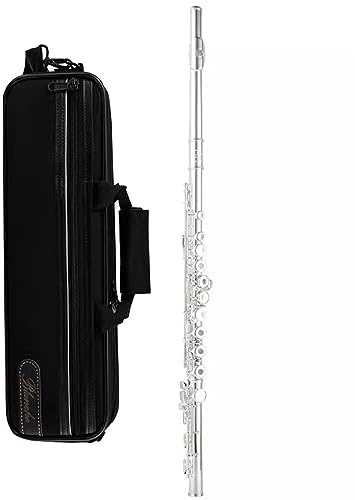 flöjtinstrument sopran blockflöjt blockflöjt instrument 16-håls stängt hål/17-hål öppet och stängt dubbelt hål C-nyckelflöjt /296