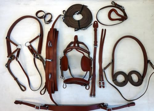Juego de arnés de conducción de nailon de alta calidad, tachuela ecuestre completa con riendas y poni de brida, mazorca, completo y marrón Shetland (mazorca)