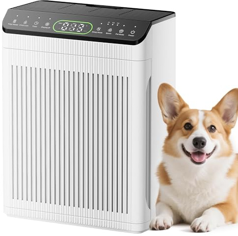 EVALIT Luftreiniger Allergiker, CADR 420m³/h bis 200㎡, Hellweiß | Air Purifier für Haustiere, HEPA-Filter gegen Tierhaare, Rauch, Staub & Pollen, Aromatherapie, 1 Pack+3 Modi