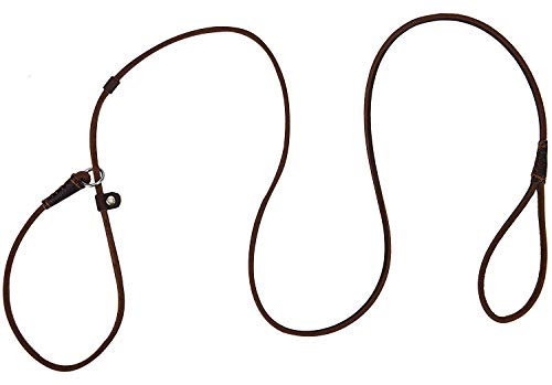 Real Leather Slip Dog Leash for Small Medium Dogs Lightweight Thin but Sturdy Adjustable Slip Lead Dog Leash Soft and Slim 5 ft x 1/5 inch