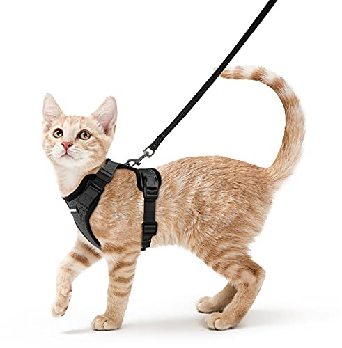 rabbitgoo Katzengeschirr mit Leine Schwarz Softgeschirr für Katze Brustgeschirr Cat Harness Katzengarnitur ausbruchsicher verstellbar Katzenweste Schwarz XXS