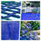 10000+ Piezas Semillas Tomillo, Cubierta De Suelo Perenne, Semillas Flores Fáciles De Plantar, Tomillo Rastrero Azul Para Jardín Y Balcón