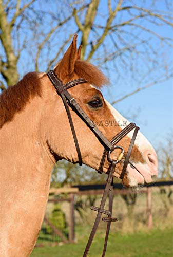 Astile Leather Comfort Horse Bridle With Flash Noseband Hand Stitched Design Black Brown (COB, BROWN)