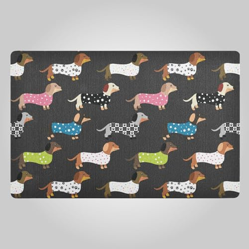 Fußmatte Innen 50x80cm, Niedlicher Dackel Hund Fußmatte Schmutzfänger Rutschfest Waschbar Eingangsteppich Matte Willkommen Matte für Haustür Hintertür Eingang Terrasse Garten Haustiere