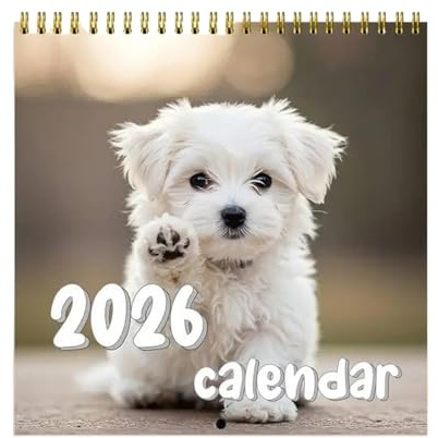 WJnflQN Lustiger Hundekalender 2026 | Wandkalender Hunde Welpen - Monatlicher Planer Mit Großem Raster Für Familienaktivitäten Team Meetings Urlaubsplanung