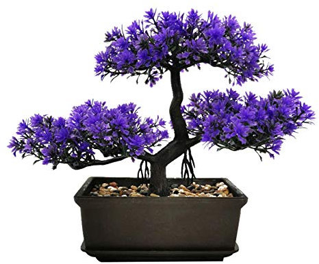 MOVKZACV Künstliche Pflanzen, künstlicher Bonsai-Baum, Raumdekoration für Eingangsbereich, Schlafzimmer, ästhetisch und Bauernhaus, Badezimmer, Bücherregal, Zimmer, Schreibtisch, Dekoration, 27,9 x
