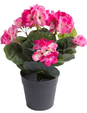 Botanic-Haus künstliche Geranie (Geranienbusch) mit 6 Blütenköpfen im schwarzen Kunststofftopf Farbe: Beauty
