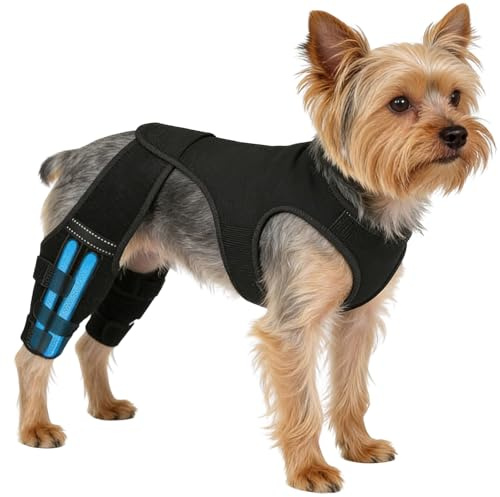 dzqad Hunde Bein Orthese - Hund Hinterbein Orthese Mit 4 Metall Stabilisatoren, Kniebandage Für Hunde Hinten, Für Die Unterstützung Der Hinterbeine, Für Spaziergänge, Wanderungen, Outdoor Aktivitäten