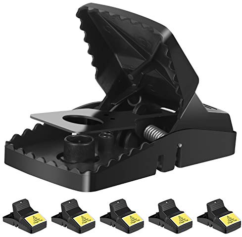 Trisiki 6 Pack Professional Mouse Trap, Rat Trap for Various Sizes of Rodents, Reusable Heavy Duty Large Snap Traps That Kill Instantly, Easy Set-up & Clean, Indoors & Outdoors, Big Size, Black