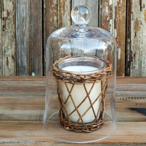 Park Hill Collection Glass Cloche Bell Jar - Plant Terrarium - Centerpiece Dome Display