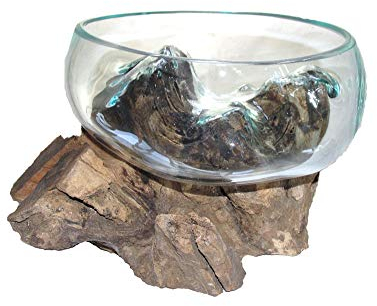 Deko Glasschale Obstschale Blumenschale auf Wurzelholz Vase Schale mit Wurzel-Holz Dekovase Dekoschale charakteristische Dekoration (25 cm F)