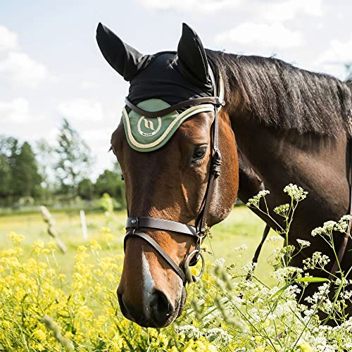 BoT Nights Coll. Fliegenohren Olive Pony