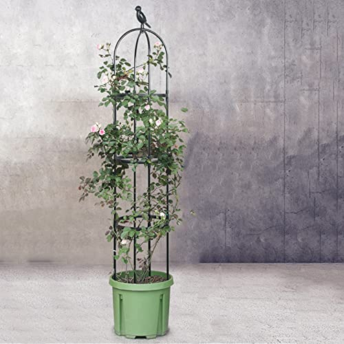 ZYFA Rankhilfe Obelisk Rankobelisk Pflanzstäbe Tomatenstäbe Gartenstecker Gartenpfähle Pflanzenstäbe Pflanzenstütze Kletterhilfe Plant Support für Pflanzen,Blumen, Gemüse,Kletterpflanzen und Rosen