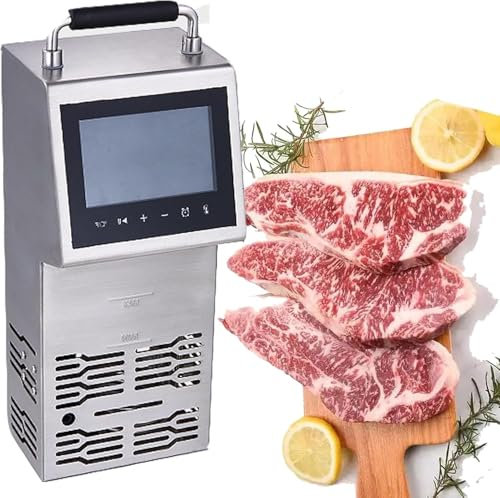 FLNOZAMZ Cuiseur de précision sous Vide 2000W, cuiseur sous Vide Professionnel avec circulateurs à Immersion en Acier Inoxydable, avec Grand écran Tactile Température précise