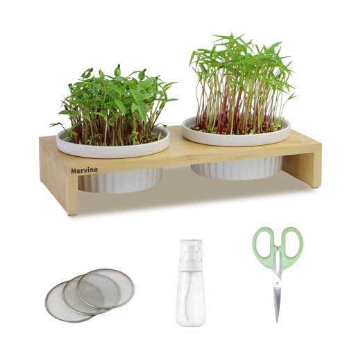 Mervino Kresse Anzuchtschalen Set mit 2 Hochwertigen Keramik-Anzuchtschalen, 2 Edelstahlsieben & Bambusständer – Praktisches Sprossen Anzuchtset für Microgreens, Kressesamen und Keimlinge,weiß
