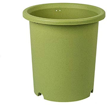 DYPASA Maceta Interior Simples de la casa Grande Plantar Tiesto Verde eneldo Suculento Maceta De Plástico Interior con Agujero de Drenaje Tiesto Jardineras Exterior (Size : Large)