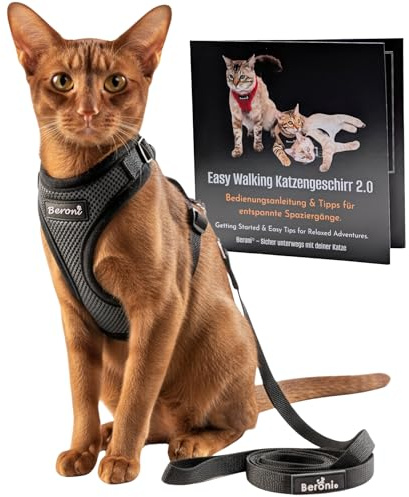 Beroni® Katzengeschirr mit Leine ausbruchsicher – Katzen Geschirr Set mit Leine | Verstellbares Brustgeschirr für große & kleine Katzen | Katzengeschirr Outdoor für Balkon, Garten (Grau + Leine, S)