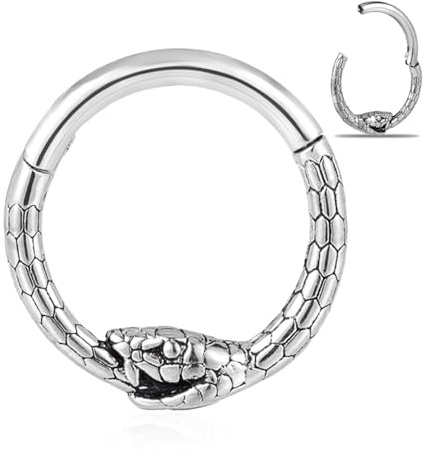 DOEARKO Septum Piercing Ringe 316L Chirurgenstahl Segmentring Clicker Helix Piercings Tragus Conch Cartilage Piercing Jewellery (Silber)