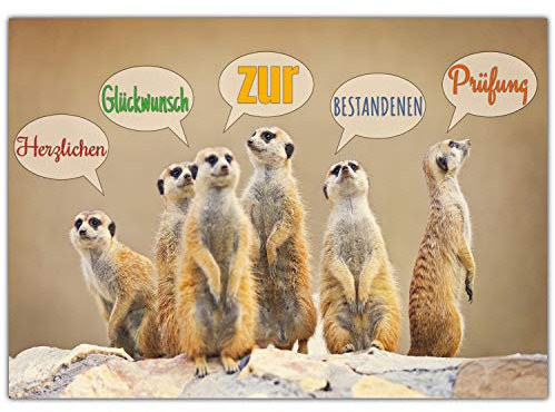 A4 XXL Glückwunschkarte zur bestandenen Prüfung ERDMÄNNCHEN mit Umschlag - edle Klapp-Karte Prüfung bestanden Karte zum Abschluss von BREITENWERK