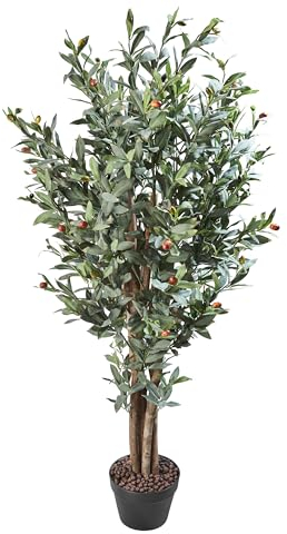 AMARE Olivenbaum 50 x50 x 120 cm
