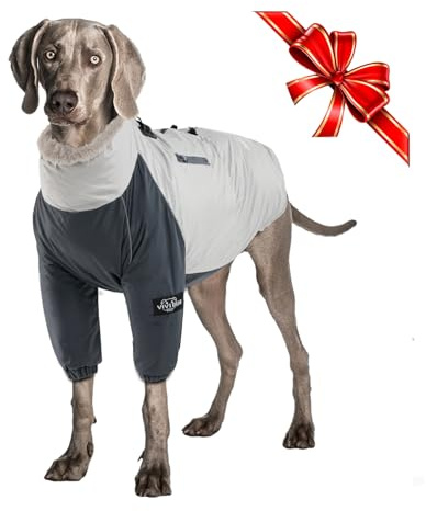 TVMALL Vinterrockar för hundar kallt väder hundjackor för hundar sportdräkt med sele, vindjacka och ficka för promenader, vandring och resor, XXL