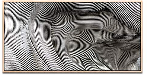 Abstrakte Kunst ca. 130x70cm Wandbild inklusive Schattenfugenrahmen naturfarbend - Panorama Leinwand Bild XXL Format Wandbilder Wohnzimmer Wohnung Deko Kunstdrucke