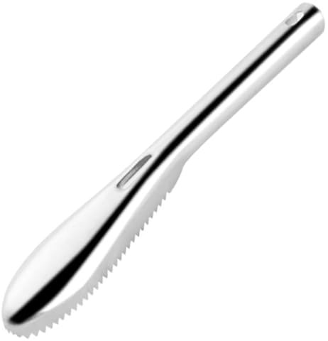 Licsaliwe Stainless Steel Fish Scaler, 9 Inch Sharp Sawtooth Scale Remover with Hanging Handle, Easy Clean Kitchen Descaler Tool