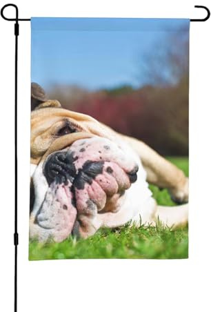 Bulldog inglesi Cani stanchi Animali da giardino Inglese,Bandiera da giardino per esterni e interni, stendardo decorativo bifacciale 30x45 cm